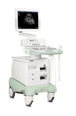 (PRO2008)Tsom Ultrasound Therapeutic System Rau Uterine